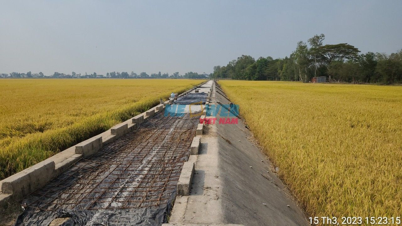 Chống chịu khí hậu tổng hợp và sinh kế bền vững ĐB. Sông Cửu Long