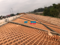 Dự án Neoweb gia cố mái đê La Giang - Hà Tĩnh - GĐ2 - 2023